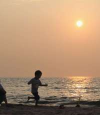 ��������