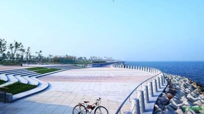 ��̬�Ƕ����Ǻ��㳡��������������