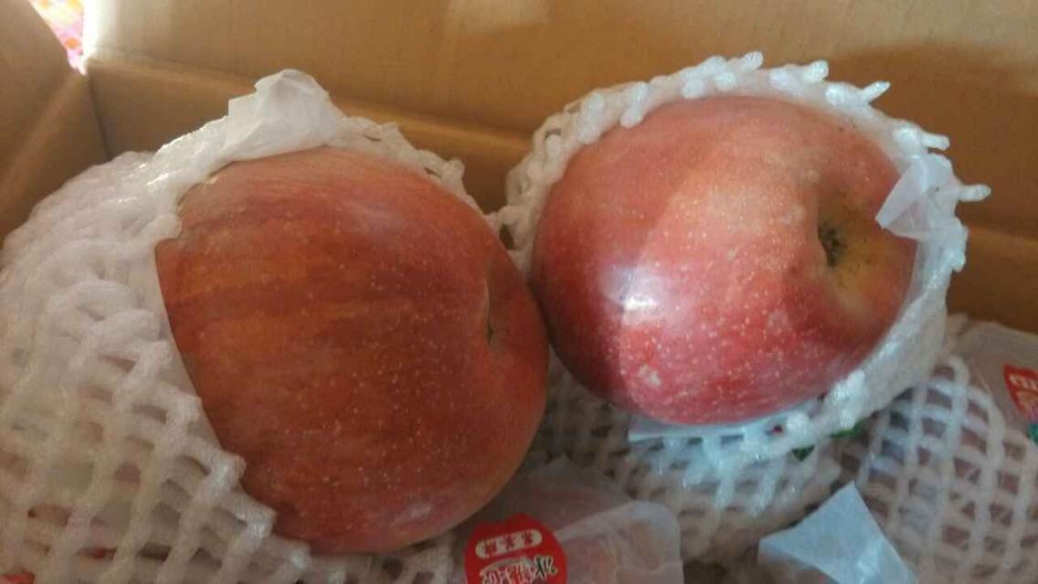 ����������ƻ��