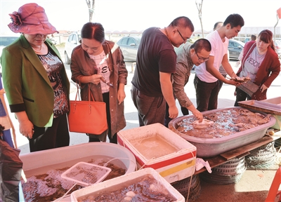 北塘集装箱海鲜街_北塘古镇导览图_河东北塘海鲜