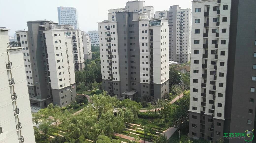 吉宝 - 房产楼市 - 生态梦网 -- 中新天津生态城社