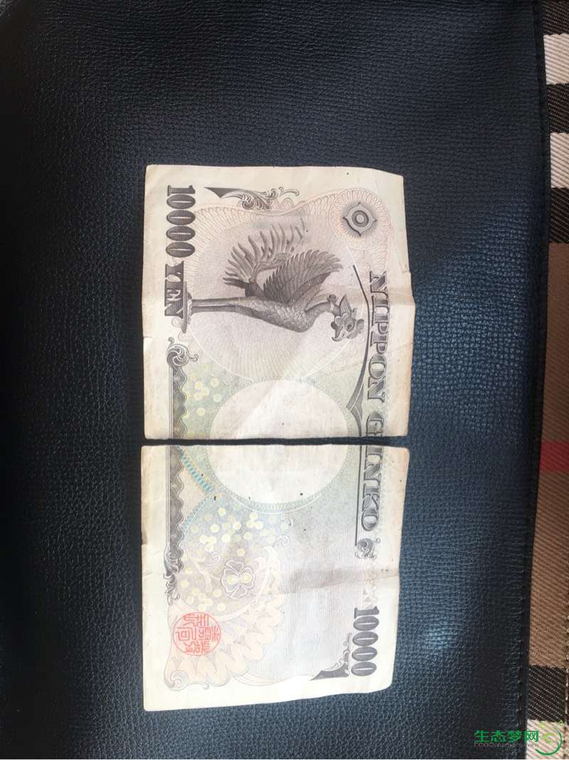 低价出一万日元