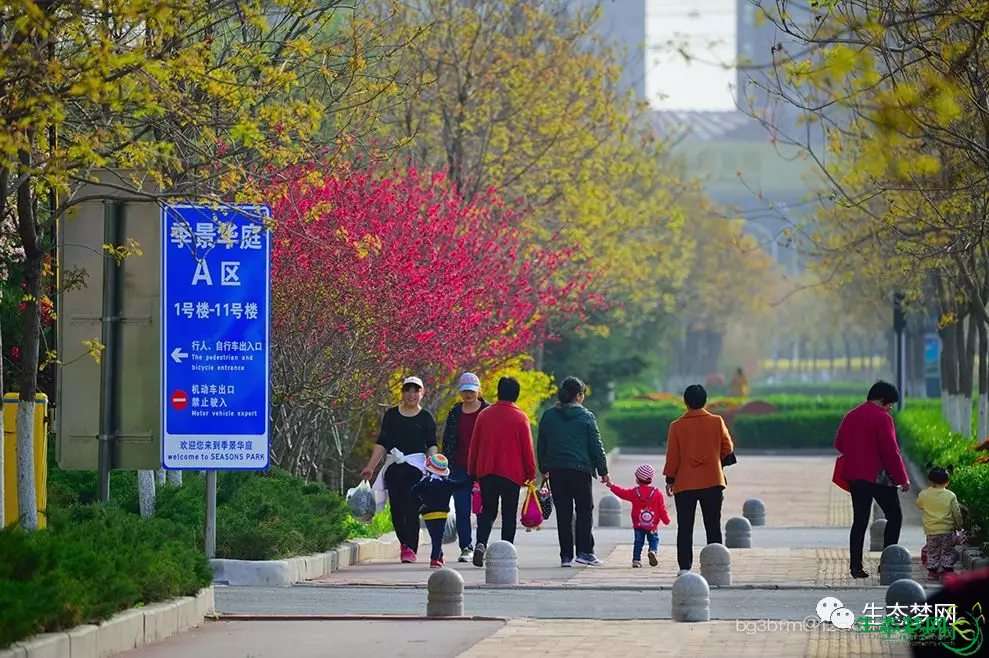 ��̬��С����ҵ����ȵ��鿪ʼ��