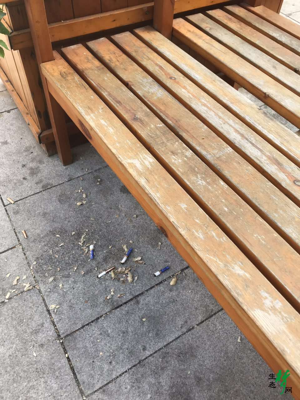201907052851751562322528231659.jpg