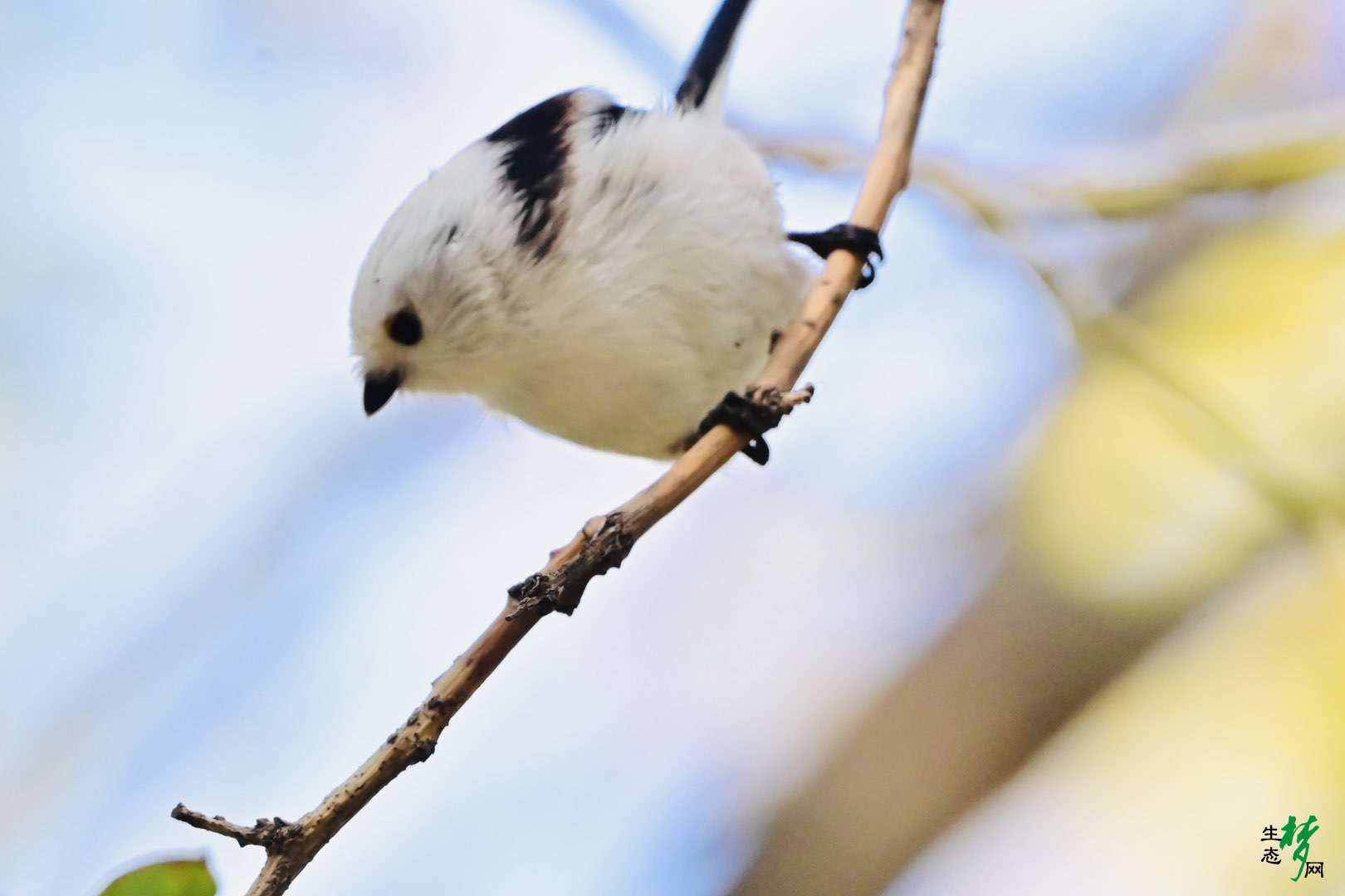 20231012120756front1_0_297093_FjHq3f8fOjqRGRTAKoo8CsspgpL7.jpg