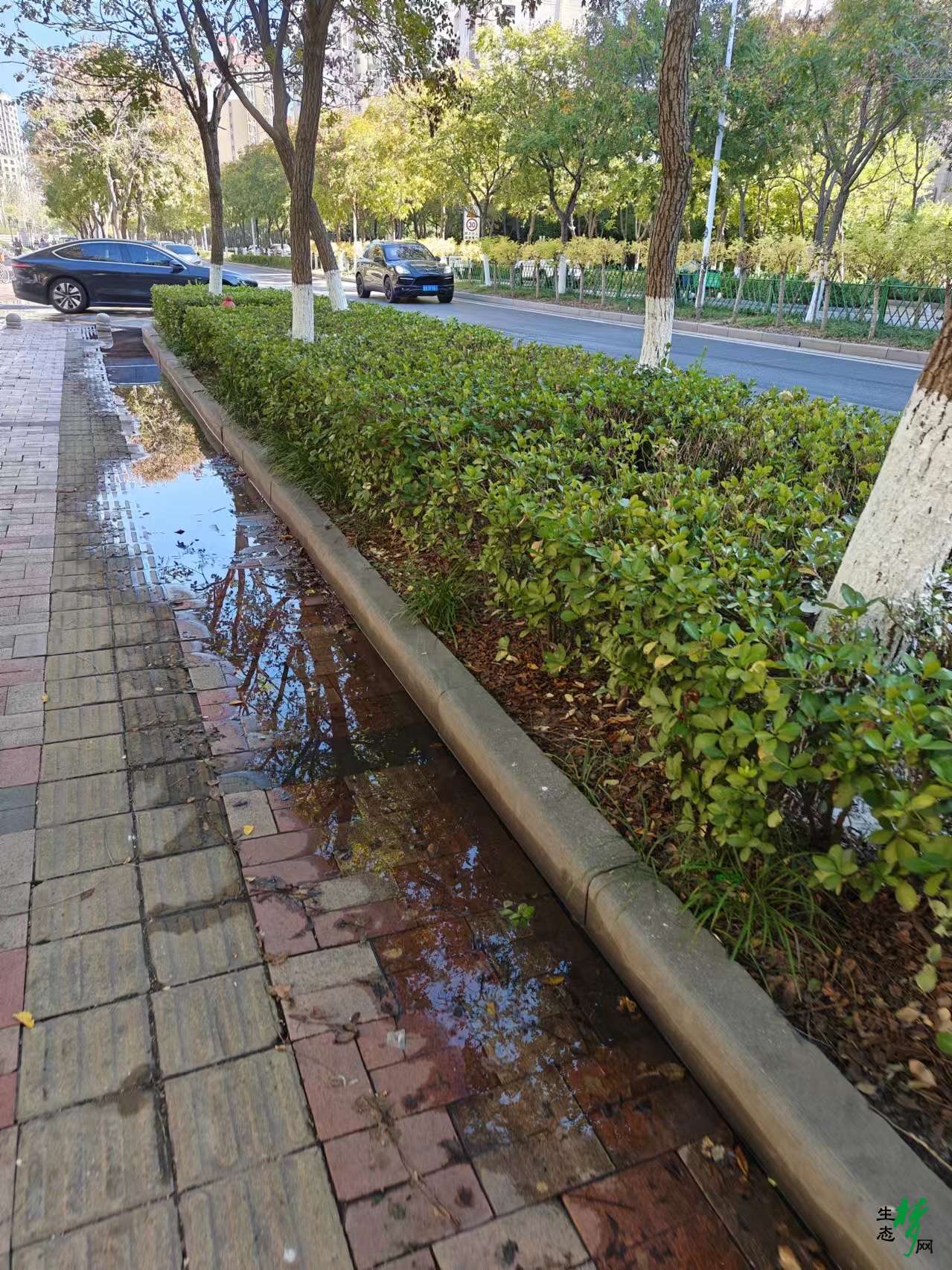 IMG_0257.jpeg
